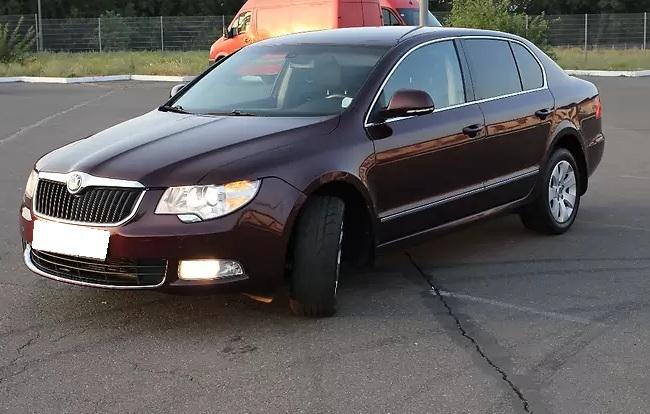 бардовый Суперб