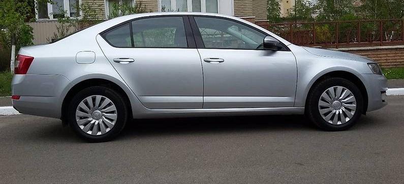 серая Октавия сбоку
