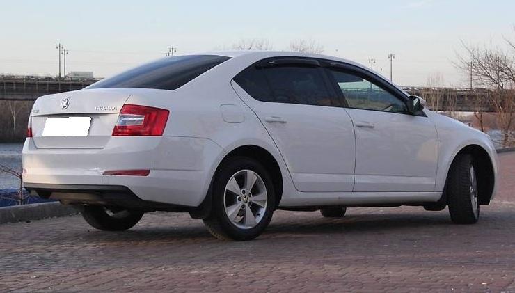 белая Октавия сзади