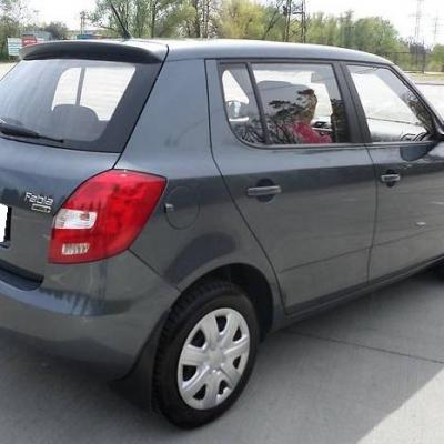 серая Фабия