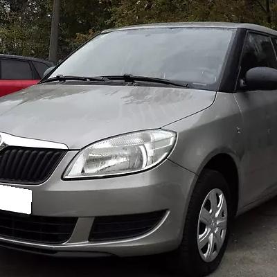 серая Фабия