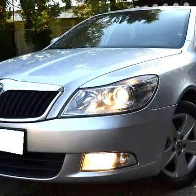 серая Шкода