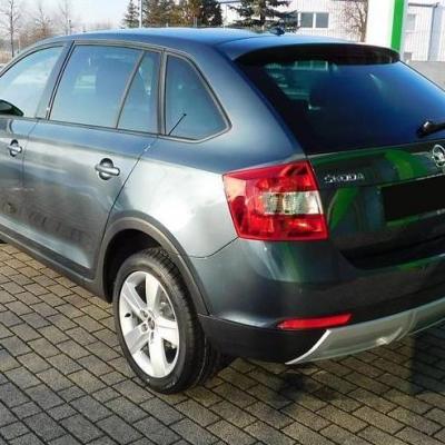 Рапид универсал