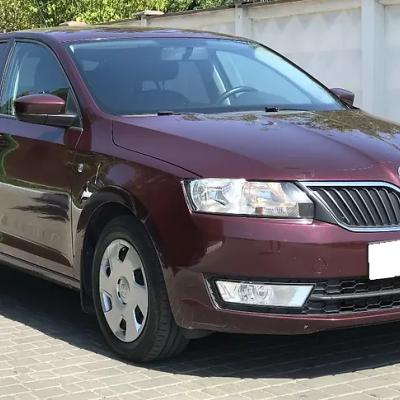 бардовый Рапид