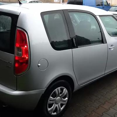 серая Шкода