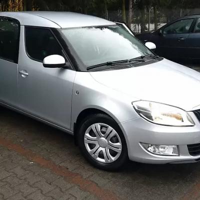 серый Румстер