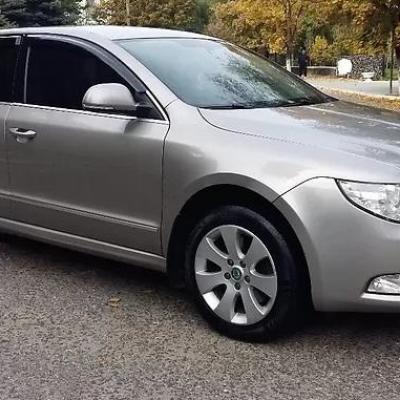 серый Суперб