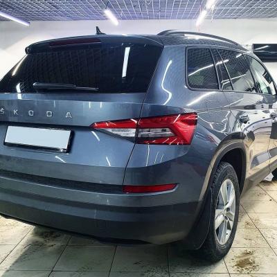 Кодиак на СТО