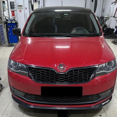 Шкода Рапид перед заменой рычагов подвески