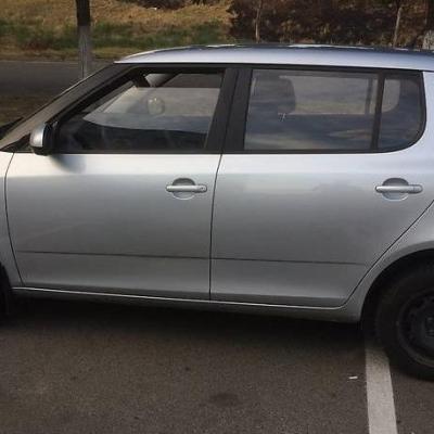 серая Фабия