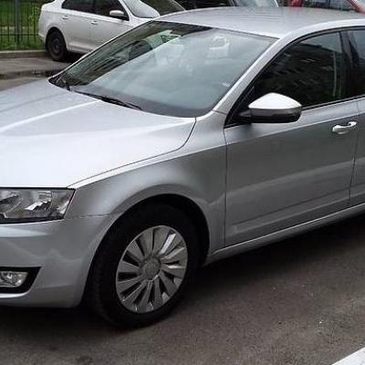 серая Октавия