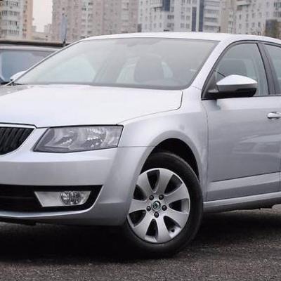 серая Шкода